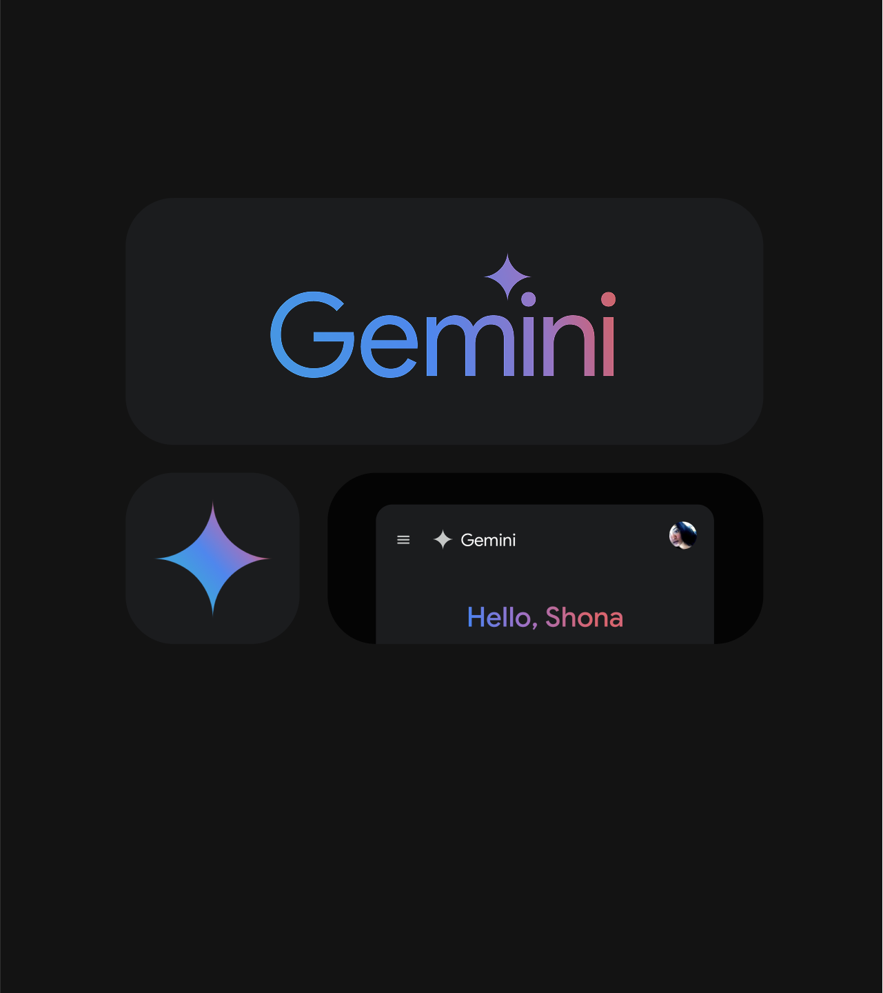 Gemini branding